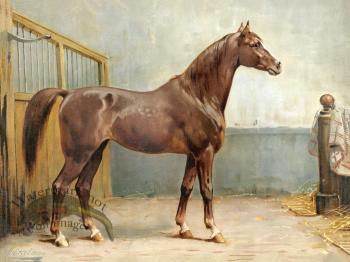 Hanoverian Horse by Eerelman